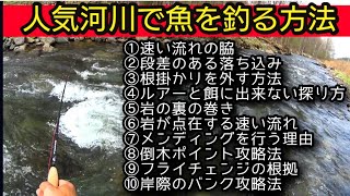 【フライフィッシング】目の前の実際のポイントを攻めるときに考えていることを全て言語化してみた！ [upl. by Eecal]