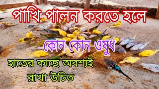 পাখি পালন করতে হলে কোন কোন ওষুধ হাতের কাছে অবশ্যই রাখা উচিত bazrigar bajrigar [upl. by Celisse]