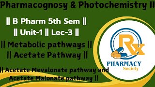 Metabolic pathways  Acetate pathway  Acetate Mevalonate pathway amp Acetate malonate pathway [upl. by Westmoreland]