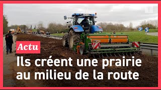 Colère des agriculteurs ils sèment un hectare sur la RN165 [upl. by Lovmilla283]