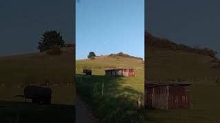 Zwischen Lissendorf und Gerolstein  Vulkaneifel Herbst 2024 [upl. by Ennad]