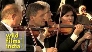 Trumpet Concerto Haydn 2nd movement by Andreas Ottl [upl. by Hanaj]