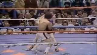 Salvador Sanchez Champions Forever  The Latin Legends [upl. by Negroj]