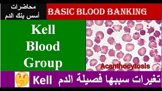 Lecture 51 Kell Blood Group System [upl. by Dnalyar]