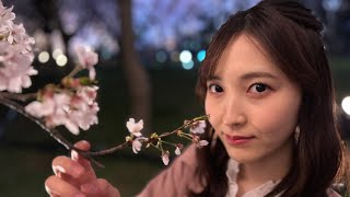 【LIVE】桜の名所🌸高田城址公園観桜会（新潟県上越市）でお花見生配信 日本三大夜桜＆さくらの名所100選 美しい桜をリポート 新潟 Live ライブ配信 [upl. by Purvis]