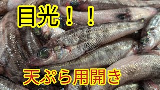 魚の捌き方目光を天ぷらフライ用に開きました [upl. by Cassandre]