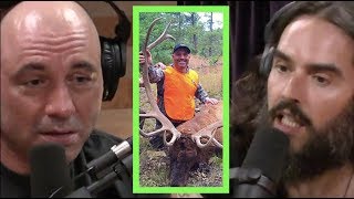 Joe Rogan Explains Hunting to Russell Brand [upl. by Mathias]