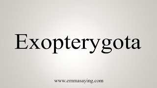 How To Say Exopterygota [upl. by Ellehcsar]