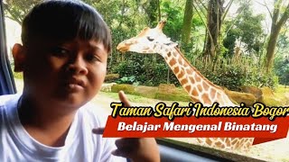 Edisi Liburan Sekolah Taman Safari Indonesia Bogor [upl. by Alemak]