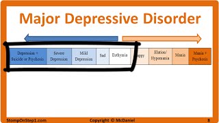 Mood Disorders Major Depressive Disorder amp Bipolar Type 1 Cyclothymia Hypomania MDD [upl. by Nyrahs817]