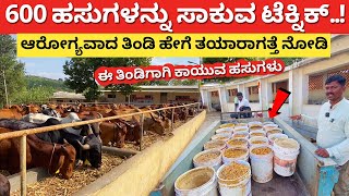 600 ಹಸುಗಳನ್ನು ಸಾಕುವ ಟೆಕ್ನಿಕ್ l Desi Cow farming in Karnataka l Dairy farm Desi a2 milk uses Kannada [upl. by Haon254]