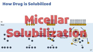 Micellar Solubilization [upl. by Litch993]