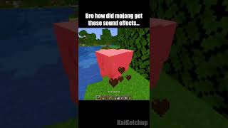 Minecraft meme [upl. by Anialem]