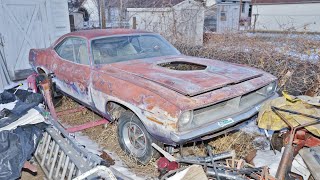 A Hemi Cuda in the Backyard [upl. by Simdars589]