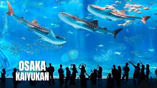 Osaka Aquarium Kaiyukan Walking Tour 2023 4K HDR [upl. by Drucilla]