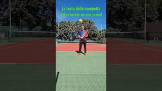 LA TESTA DELLA RACCHETTA NEL ROVESCIO AD UNA MANO 🎾💯💪 [upl. by Ahsienar]