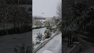 Snow in Ireland Its rare Ireland snow 2024 weather health psychology anomaly [upl. by Cloots194]