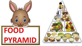 FOOD PYRAMID  HEALTHY DIET  HEALTHY PLATE  SCIENCE VIDEO FOR CHILDREN [upl. by Nollaf]