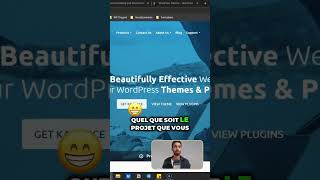 🧐 Le meilleur thème WordPress pour votre projet [upl. by Korfonta]