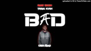 BAD Blaiz fayah x Tribal KushCray Remix [upl. by Absa195]