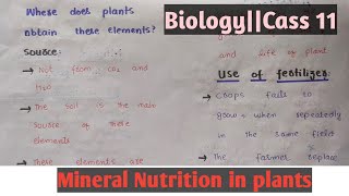 Mineral Nutrition in plantsAutotrophic nutritionClass 11 Chapter 12Easy discussion [upl. by Mcclure]