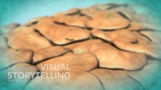 Rosacea Treatment Mode of Action Animation [upl. by Sankey889]