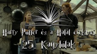 Harry Potter és a Halál ereklyéi hangoskönyv  25 fejezet [upl. by Pasol711]