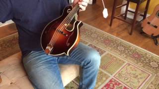 Used Collings Mandolin comparison [upl. by Hedvige]