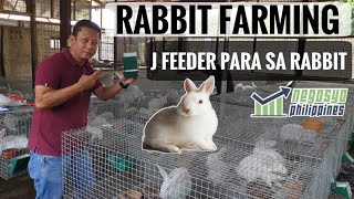 RABBIT FARMING J FEEDER INSTALLATION  Negosyo Philippines [upl. by Mccormick425]