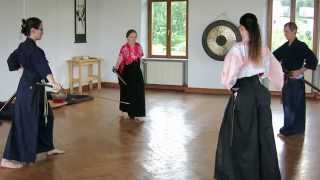 Seitei Iaido Nuki Uchi in der Gruppe 2014 [upl. by Lladnek]