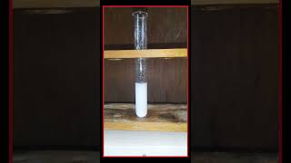 Salt AnalysisSilver Nitrates test Confirmatory Test For chloride ionCl Chandrus Chemistry [upl. by Daniel]