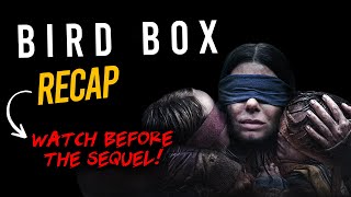 Bird Box 2018 RECAP EXPLAINED  FULL SPOILERS [upl. by Ayahsal253]