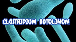 CLOSTRIDIUM BOTULINUM Microbiology lecture for medical students Clostridiumbotulinum Botulism [upl. by Alegnaoj]