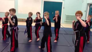 Sedgley School Of Black Belts [upl. by Amelus375]