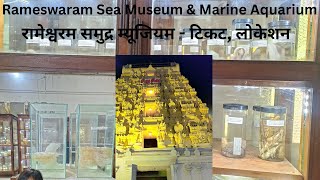 Want to Explore the Oceans Secrets Check Out Rameswaram Sea Museum [upl. by Blodget]