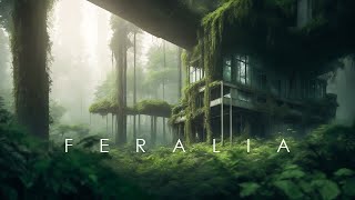 Feralia  Verdant Colossus  Ethereal Ambient Music  Relaxation and Stress Relief [upl. by Hartzke364]