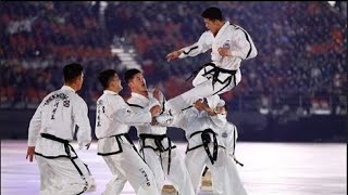 ITF TaekwonDo 2023 World Championship  DPRK Demo Team [upl. by Aynekat756]