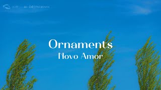 Novo Amor  Ornaments lyrics [upl. by Halludba]