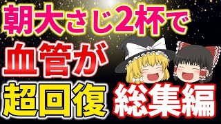 【総集編】血管若返り総集編！動脈硬化を予防しボロボロの血管が復活する最強食【ゆっくり解説】 [upl. by Blakeley475]