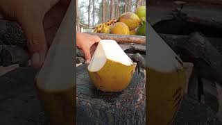 50 very easy to peel coconut coconutskillcoconut fruit satisfying streetfood [upl. by Ereynihc]