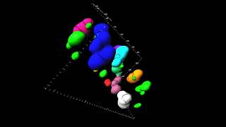 Visualization of translocons in Yersinia type III protein secretion machines during host cell [upl. by Sillihp]