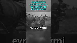 SHRNUTÍ 1 SVĚTOVÉ VÁLKY PRO VŠECHNY [upl. by Dempsey47]