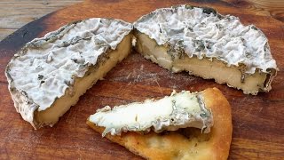 How to make home made Blue Cheese [upl. by Zarla]