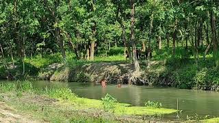 river bath villagechildrenBiharvillage lifevillage natural water park swimmingscary swimming [upl. by Jacquette]