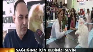 Cat Hospital Kedi Hastanesi [upl. by Nallaf874]