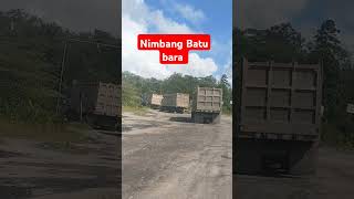 Nimbang Batu bara drivermuda drivertambang supirtrukbernyalibesar [upl. by Erdman]