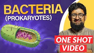 The Bacteria  One Shot Video [upl. by Palua]