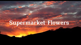 Ed Sheeran  Supermarket Flowers [upl. by Leval]