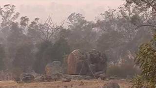 Aeolian harp after bushfires [upl. by Ian177]