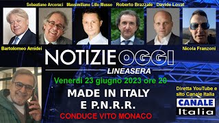 Made in Italy e PNRR  Notizie Oggi Lineasera  Canale Italia [upl. by Anelaj]